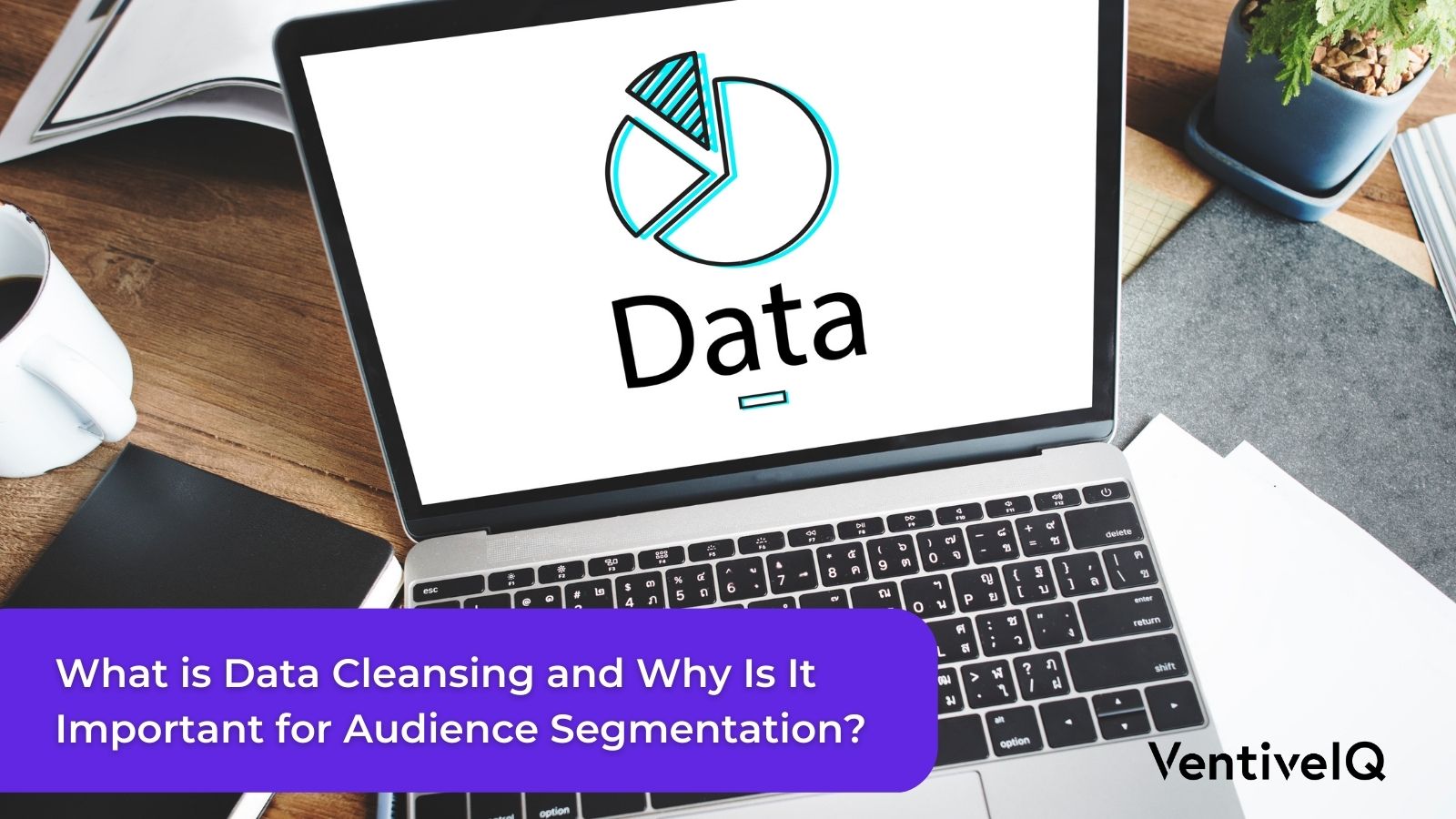 What is Data Cleansing and Why Is It Important for Audience Segmentation?
