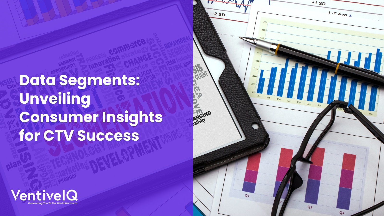 Data Segments: Unveiling Consumer Insights for CTV Success