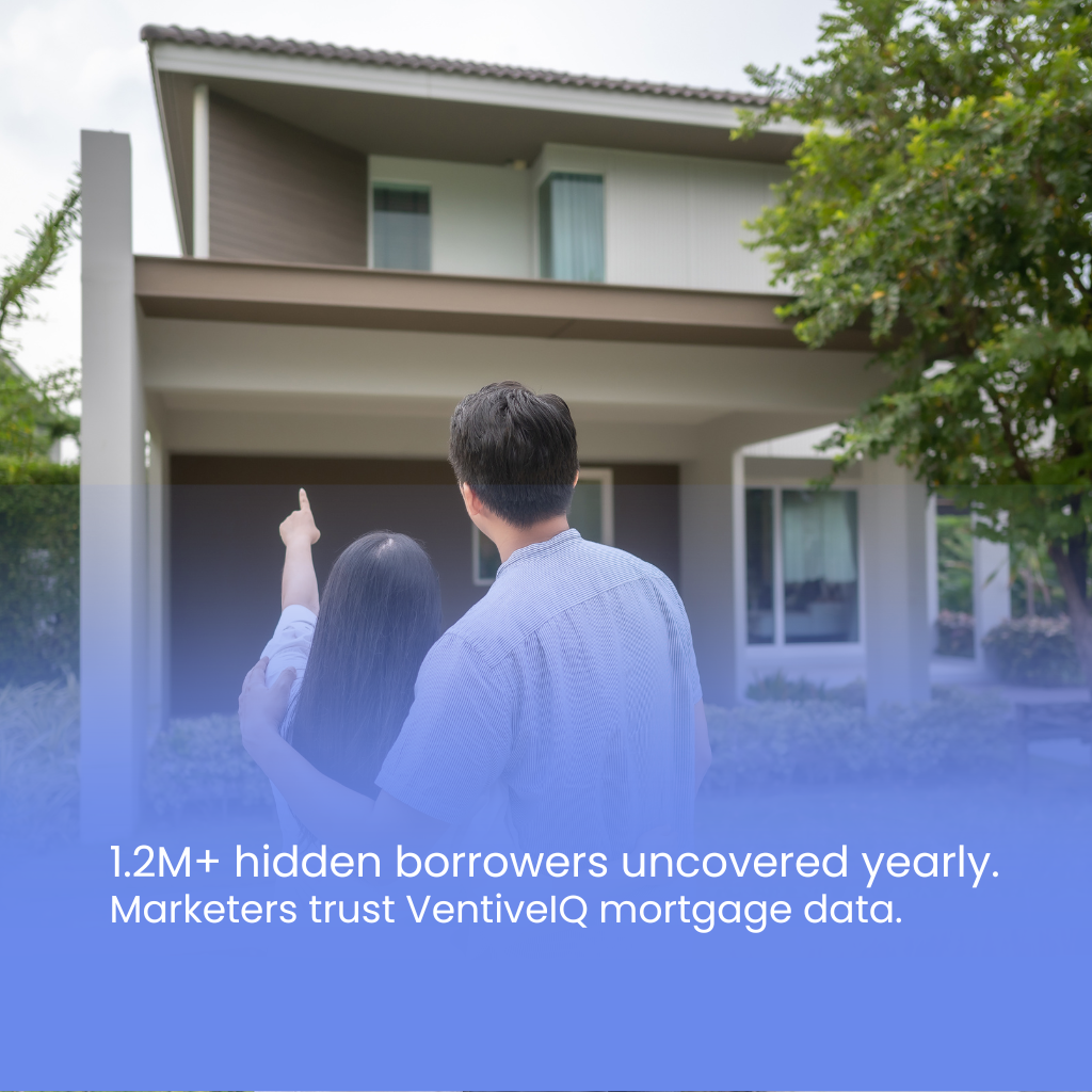 hidden borrowers uncovered hidden borrowers uncovered