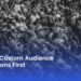 Build a Custom Audience